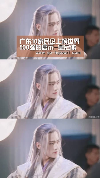 广东10家民企上榜世界500强的启示-皇冠体育app(图2) 皇冠足球