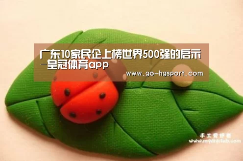 广东10家民企上榜世界500强的启示-皇冠体育app(图3) 皇冠足球
