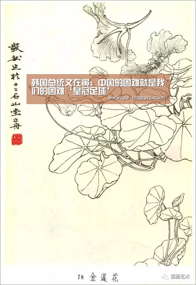 韩国总统文在寅:中国的困难就是我们的困难‘皇冠足球’(图3) 皇冠体育app