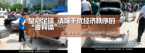 皇冠足球_清除干扰经济秩序的“变异体”(图1) 皇冠足球